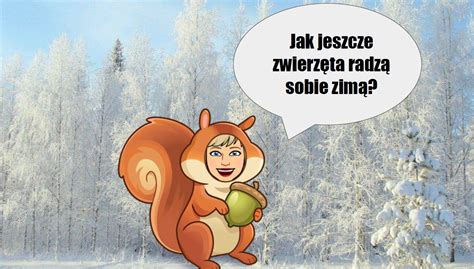  Zootoma: Zwierzę Małe i Rozrabiajające!